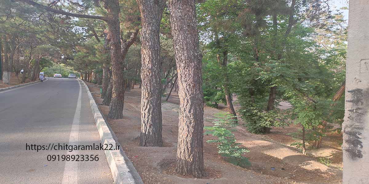 پارک چیتگر معرفی