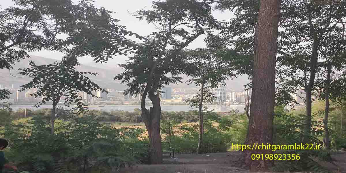 تجربه بازدیدکنندگان