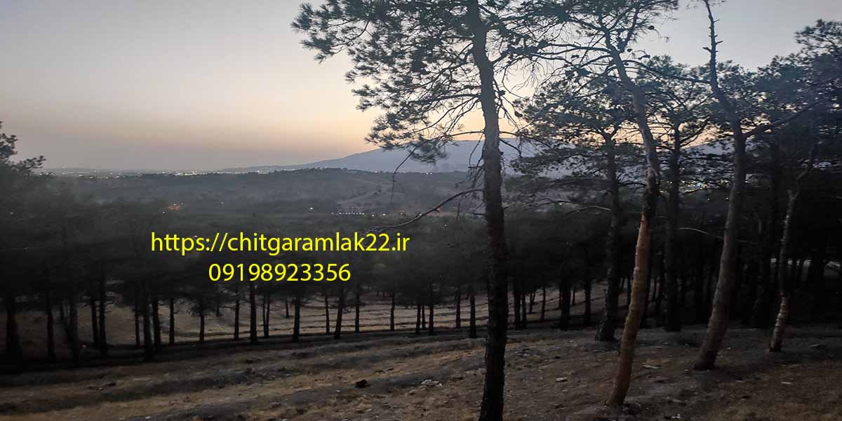 پارک چیتگر معرفی