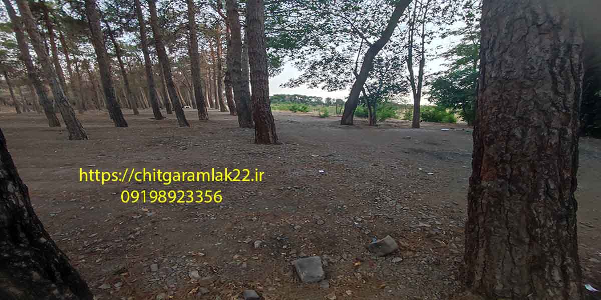 پارک چیتگر تفریحات