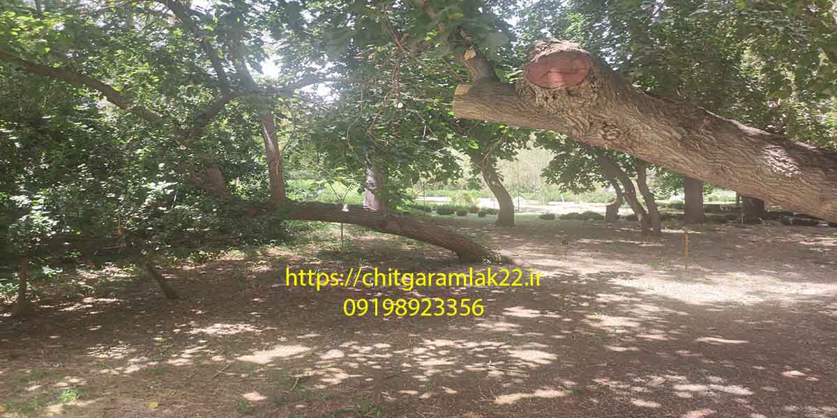 تجربه بازدیدکنندگان از باغ گیاه شناسی
