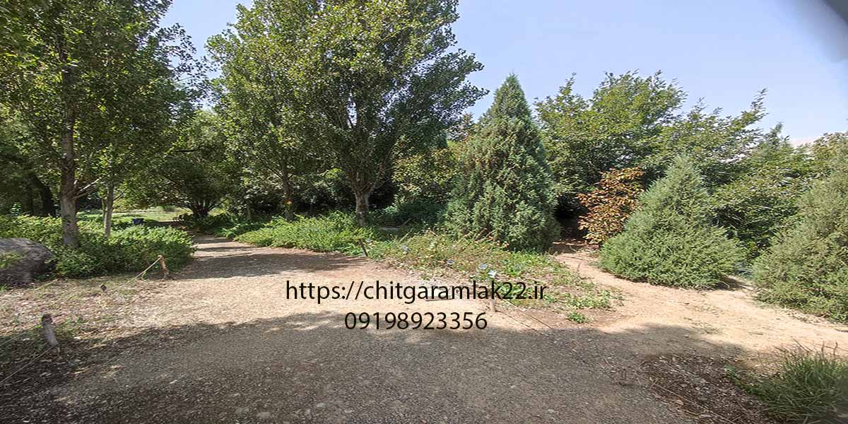 نکاتی برای بازدید از باغ گیاه شناسی ایران